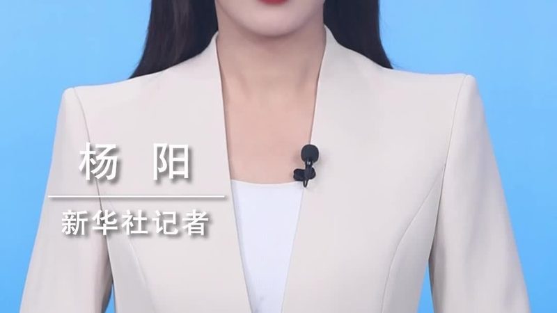 智慧解决方案实施：如何规避潜在风险，确保项目成功